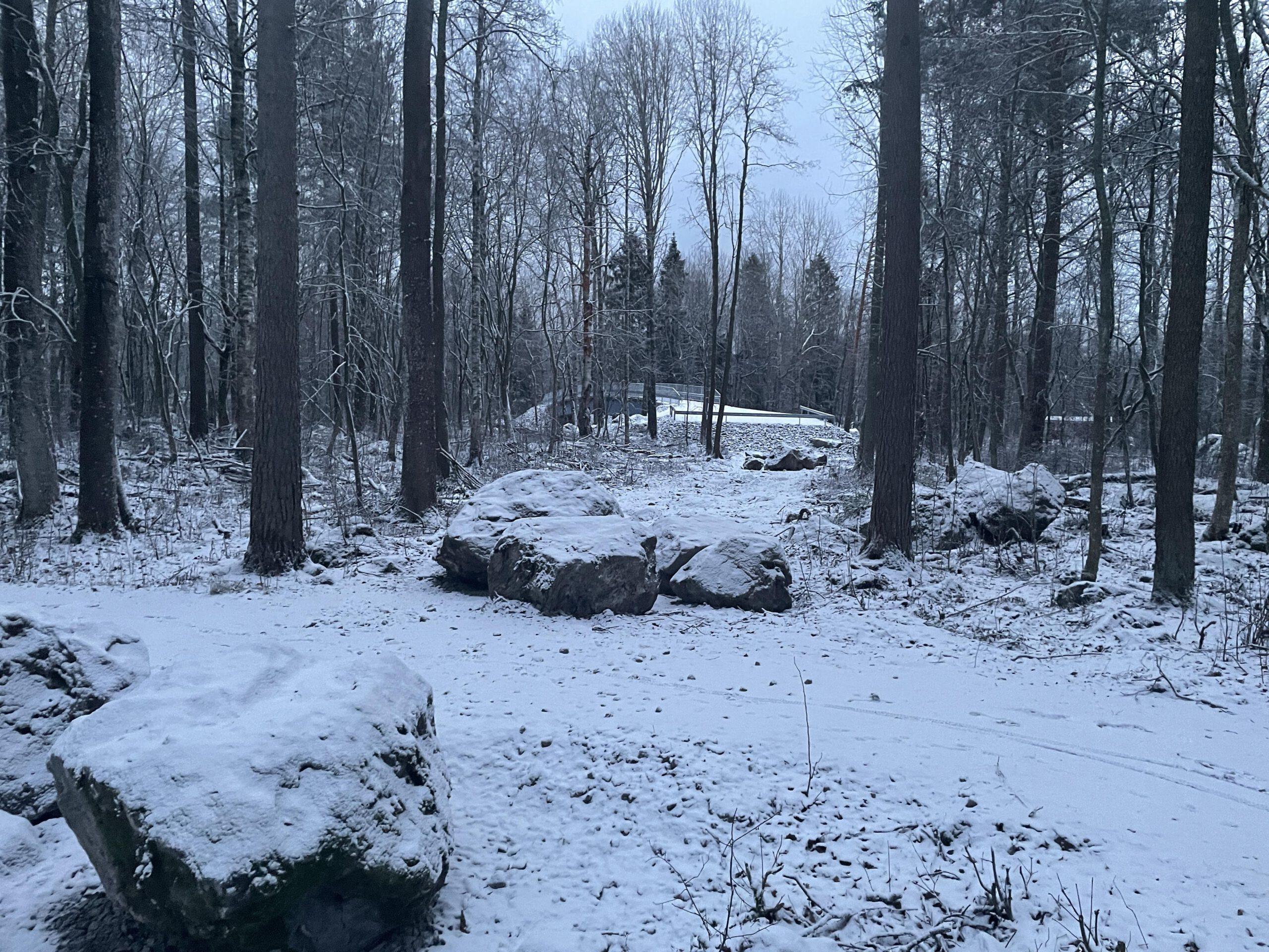 kämärin sillat ovat herkässä ympäristössä